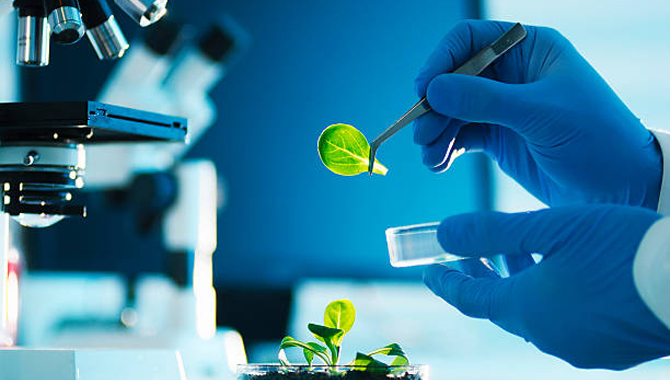 新疆慧尔智联生物技术有限公司