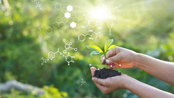 新疆五家渠慧尔生物科技有限公司