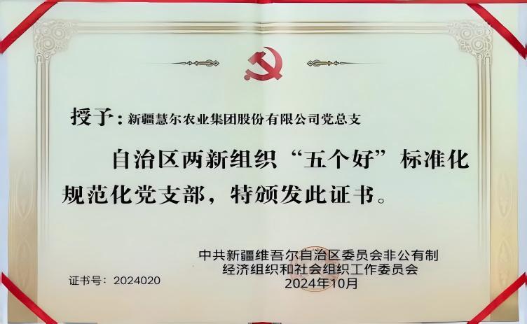 自治区“两新”组织“五个好”标准化规范化党支部 荣誉证书